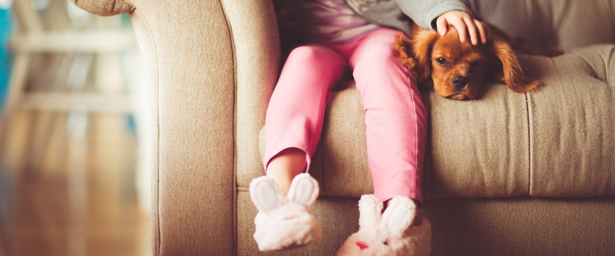 Demos servo drive on a chip